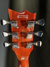 LTD EC-256_6