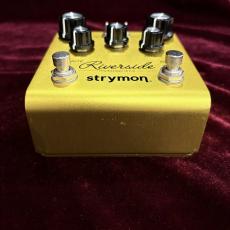 strymon Riverside_4