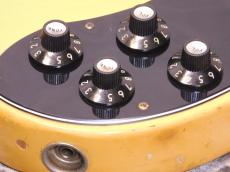 Fender Telecaster Custom '74 BLD/M_8