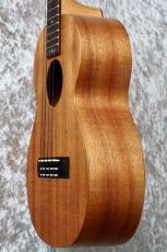 Kamaka HF-3 #260159【110th Anniversary】【Tenor】【Hawai'ian Koa】_12