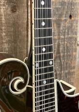 Gibson F-5 Fern #10803010_4