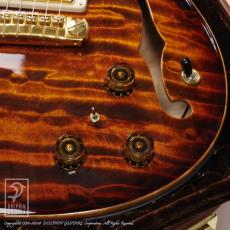 Paul Reed Smith [PRS] Private stock Hollow Body II 2011 Winter NAMM (Electric Tiger Smoked Burst)_12