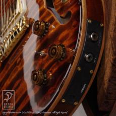Paul Reed Smith [PRS] Private stock Hollow Body II 2011 Winter NAMM (Electric Tiger Smoked Burst)_14