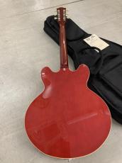 Archtop Tribute AT 135TTP Made in Japan! 美品!_8