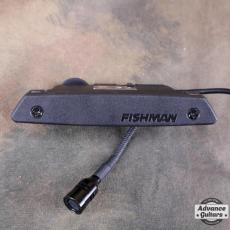 FISHMAN Rare Earth Mic Blend