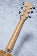 Taylor 【新製品 / 純正ストラッププレゼント!】Gold Label 814e SB_8