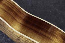 Taylor 【新製品 / 純正ストラッププレゼント!】Gold Label 814e Koa SB_9