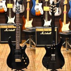 Bill Lawrence BYIR-60G_2