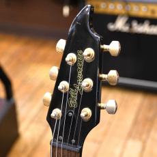 Bill Lawrence BYIR-60G_3