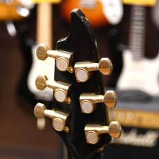 Bill Lawrence BYIR-60G_4