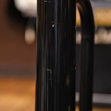 Bill Lawrence BYIR-60G_6