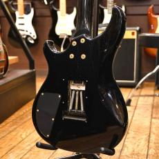 Bill Lawrence BYIR-60G_8
