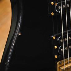 Bill Lawrence BYIR-60G_9