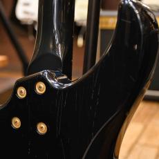 Bill Lawrence BYIR-60G_10