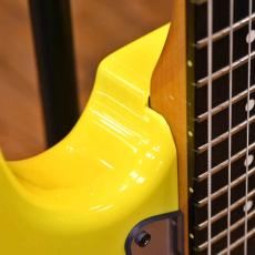 Bill Lawrence BM2R-55B_4