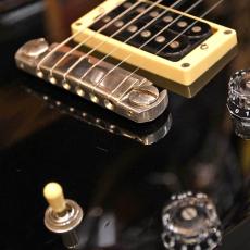 Paul Reed Smith [PRS] SE STANDARD 22_5