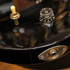 Paul Reed Smith [PRS] SE STANDARD 22_6