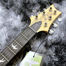 Paul Reed Smith [PRS] CE 24 Semi-Hollow Custom Configuration Lake Blue 【特価】【限定仕様】【2023年製】【約3.22kg!】_7