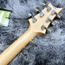 Paul Reed Smith [PRS] CE 24 Semi-Hollow Custom Configuration Lake Blue 【特価】【限定仕様】【2023年製】【約3.22kg!】_8