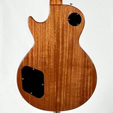 Tokai LS-101S-WA -Gold Top-【4.35kg】_3