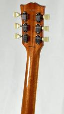 Tokai LS-101S-WA -Gold Top-【4.35kg】_8