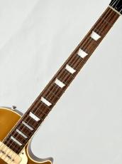 Tokai LS-101S-WA -Gold Top-【4.35kg】_9