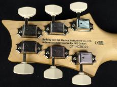 Paul Reed Smith [PRS] SE NF53 Black Doghair 2025_9