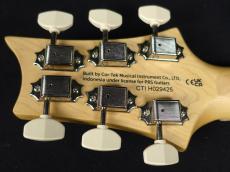 Paul Reed Smith [PRS] SE NF53 White Doghair 2025_9