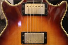 Epiphone 【日本製】Genesis Custom【4.56kg】【ジャパンビンテージ】_9