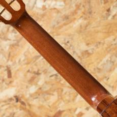 KOU CEDK-LN Spruce Top Concert Semi Long Neck_7