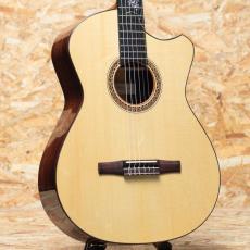 FUJII GUITARS Jazz Nylon Slant Cutaway Custom 2018