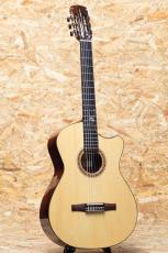 FUJII GUITARS Jazz Nylon Slant Cutaway Custom 2018_3