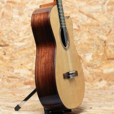 FUJII GUITARS Jazz Nylon Slant Cutaway Custom 2018_4
