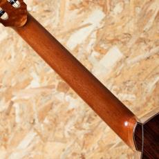 FUJII GUITARS Jazz Nylon Slant Cutaway Custom 2018_7