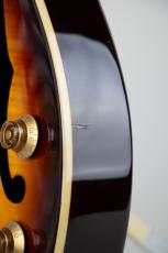 Epiphone Les Paul Standard Florentine Pro Vintage Sunburst 2014_8