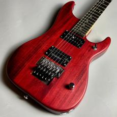 Washburn N2-NUNO Padauk【現物写真】