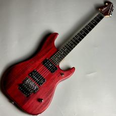 Washburn N2-NUNO Padauk【現物写真】_2