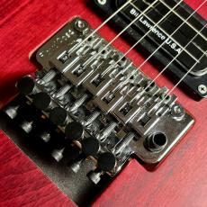 Washburn N2-NUNO Padauk【現物写真】_3