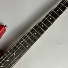 Washburn N2-NUNO Padauk【現物写真】_4
