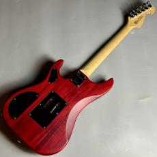 Washburn N2-NUNO Padauk【現物写真】_6