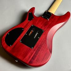 Washburn N2-NUNO Padauk【現物写真】_7