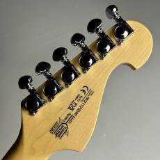 Washburn N2-NUNO Padauk【現物写真】_9