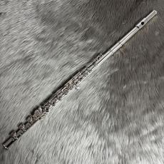 Altus AL2/RHE/IN【USED】