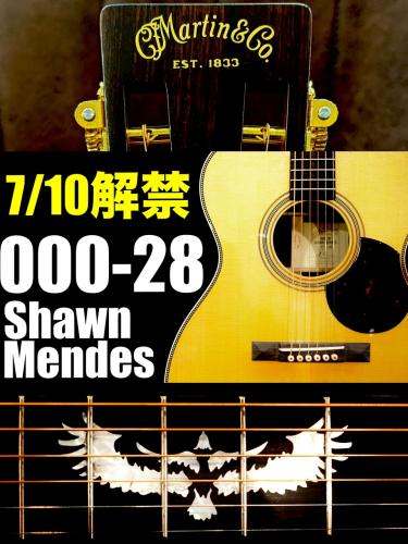 Martin 【企画紹介動画あり】000-28 Shawn Mendes S/N 3035821【世界限定88本】