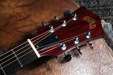 Guild D25CH 1976_3
