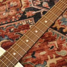 Gretsch Jim Dandy Parlor LTD, Walnut Fingerboard, Tortoise Pickguard, Vintage White_5