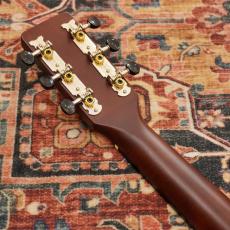 Gretsch Jim Dandy Parlor LTD, Walnut Fingerboard, Tortoise Pickguard, Vintage White_7