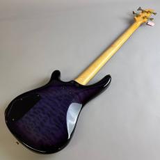 FERNANDES FRB-42_6
