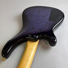 FERNANDES FRB-42_10