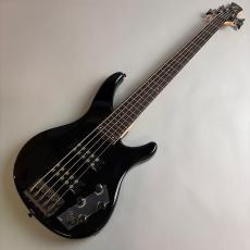 YAMAHA TRBX305_2